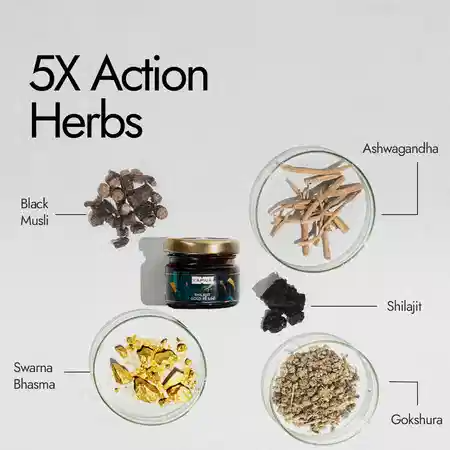 Kapiva Shilajit Gold Resin | Premium Ayurvedic Stamina & Energy Support