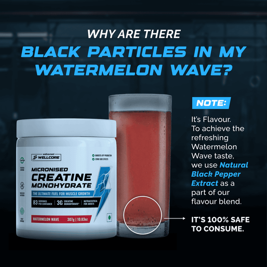Wellcore Micronised Creatine Monohydrate - Watermelon Wave